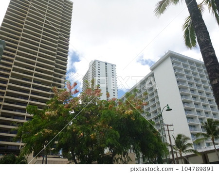 Hawaiian scenery Hawaiian scenery 104789891