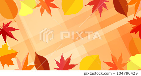 Autumn leaves maple ginkgo autumn background 104790429