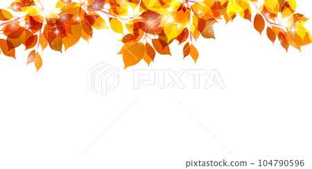 Autumn leaves autumn background 104790596