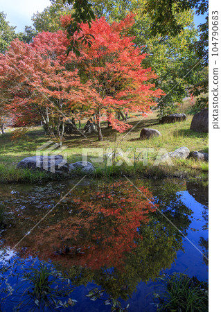 矢野溫泉公園的秋天 四季之裡 紅葉的倒影 104790683