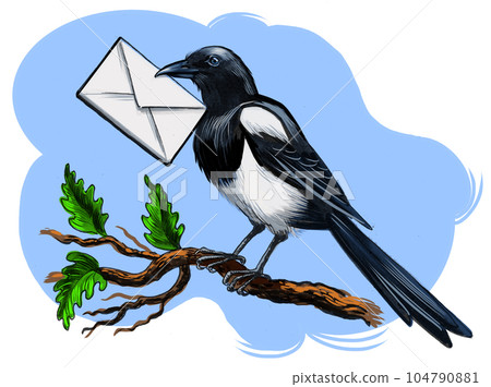 Magpie bird with letter in her beak. Hand-drawn ink on paper and hand colored on tablet Magpie bird with letter in her beak. Hand-drawn ink on paper and hand colored on tablet 104790881