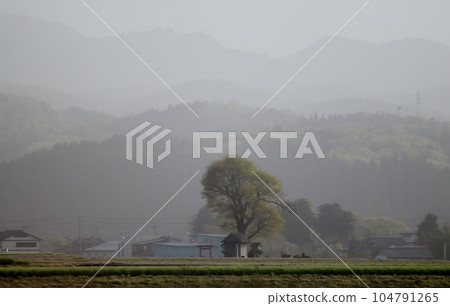 中國大陸捲起的黃沙飛入北陸地區，即使在白天也暫時降低了能見度。 104791265