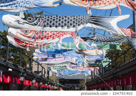 Carp streamer decorated with Pinkoro Jizo approach to the shrine 104791402
