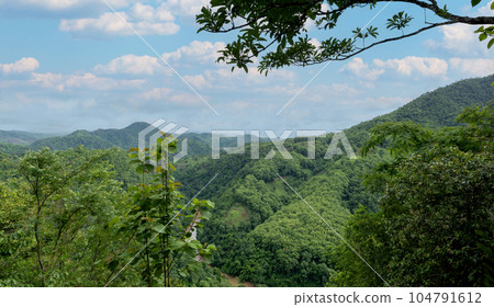 mountain landscape with forest and mountains 104791612