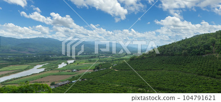 rice fields on mountain rice fields on mountain 104791621
