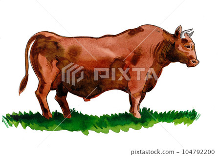 Big brown bull on green grass. Hand drawn ink and watercolor on paper Big brown bull on green grass. Hand drawn ink and watercolor on paper 104792200