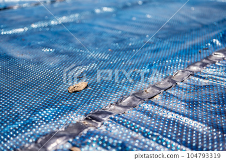 Leaf on top of a floating pool cover used to keep out debris and provide thermal insulation.  104793319