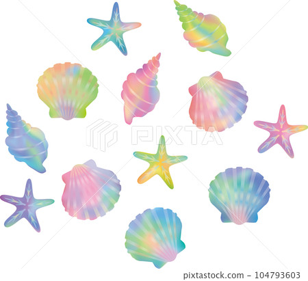colorful seashell illustration watercolor style 104793603