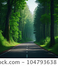 road in forest 104793638