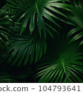 green tropical leaves pattern with palm 104793641
