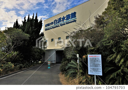 京都大學實地科學教育研究中心瀨戶海洋生物站水族館（和歌山縣西牟婁郡白濱町） 104793703