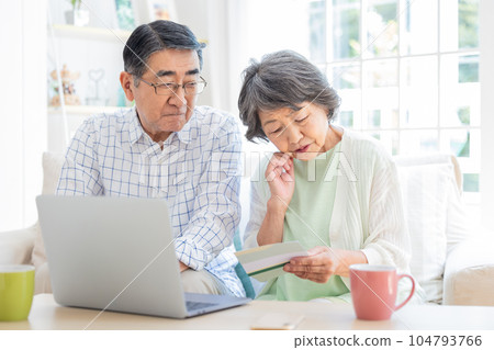 Senior couple looking at a computer in the living room 104793766
