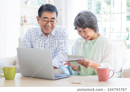Senior couple looking at a computer in the living room 104793767