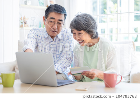 Senior couple looking at a computer in the living room 104793768