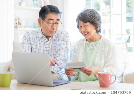 Senior couple looking at a computer in the living room 104793769