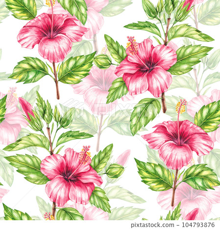 Watercolor red hibiscus pattern 104793876