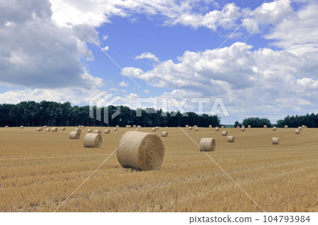 Pasture roll and blue sky (Hokkaido / Ozora Town) 104793984