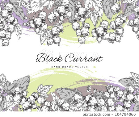 Vector black currant monochrome seamless border, watercolor yellow lilac background design for tea, bakery, cosmetics, textiles 104794060