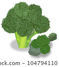 新鮮的西蘭花 104794110