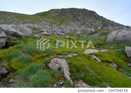 Moss colony and Shirakudake (Hokkaido Daisetsuzan) Moss colony and Shirakudake (Hokkaido Daisetsuzan) 104794356