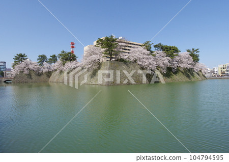 Fukui Castle Ruins and Fukui Prefectural Office in Spring 104794595