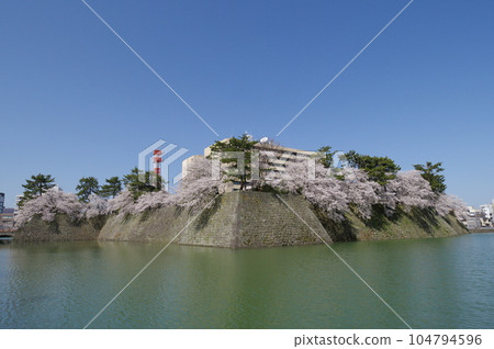 春天的福井城跡和福井縣廳 104794596