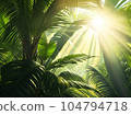 palm tree with sky background 104794718