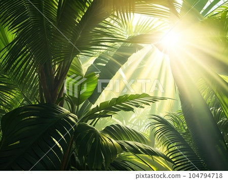 palm tree with sky background 104794718