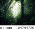 fog in the forest 104794720