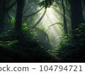 forest in fog 104794721