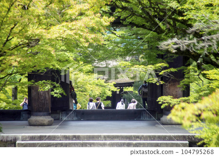 京都南禪寺三門的新綠 京都南禪寺三門的新綠 104795268