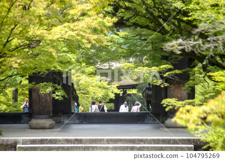京都南禪寺三門和新綠 京都南禪寺三門和新綠 104795269