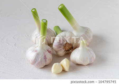 fresh new garlic 104795745