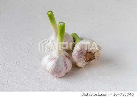 新鮮的新大蒜 104795746