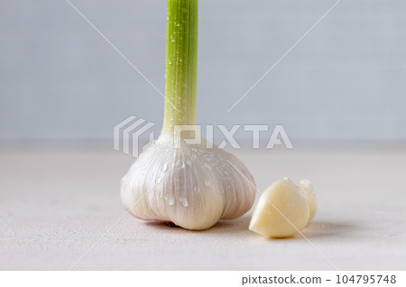 新鮮的新大蒜 104795748