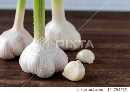 fresh new garlic 104795765