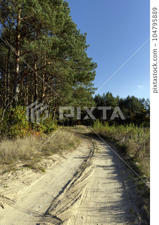 A garbage polluted highway in rural areas A garbage polluted highway in rural areas 104795889