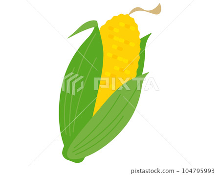 玉米圖標 玉米圖標 104795993