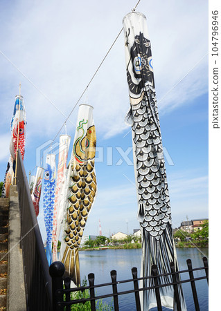 Sayagawa Sokyo Park carp streamers Sayagawa Sokyo Park carp streamers 104796946