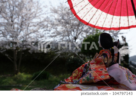 Tottori four seasons walk Mochigase no Nagashi Hina 104797143