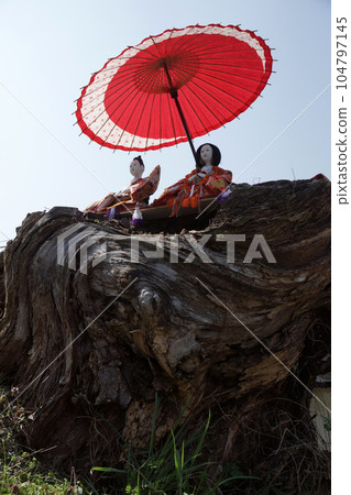 Tottori four seasons walk Mochigase no Nagashi Hina 104797145