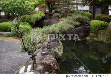 鳥取,四個季節的散步,錦鯉的游泳河,瀨戶川 鳥取,四個季節的散步,錦鯉的游泳河,瀨戶川 104797565