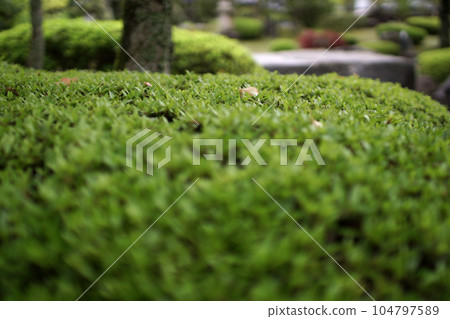 Tottori, a walk in the four seasons, the river where Koinobori swims, the Seto River 104797589