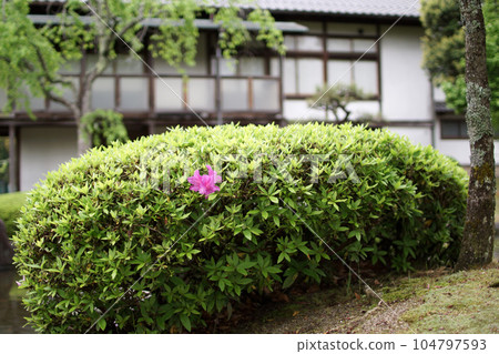 Tottori, a walk in the four seasons, the river where Koinobori swims, the Seto River Tottori, a walk in the four seasons, the river where Koinobori swims, the Seto River 104797593