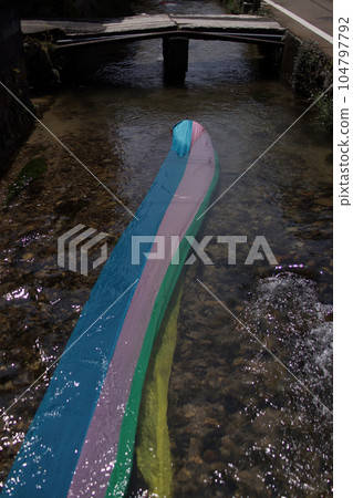 鳥取，四個季節的散步，錦鯉的游泳河，瀨戶川 104797792