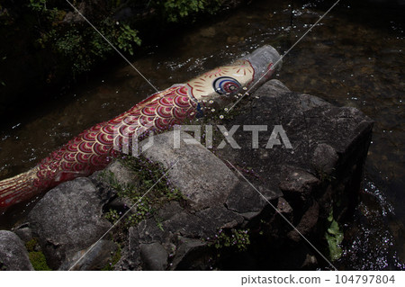 Tottori, a walk in the four seasons, the river where Koinobori swims, the Seto River Tottori, a walk in the four seasons, the river where Koinobori swims, the Seto River 104797804