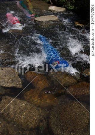 Tottori, a walk in the four seasons, the river where Koinobori swims, the Seto River 104797808