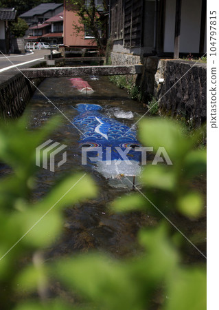 Tottori, a walk in the four seasons, the river where Koinobori swims, the Seto River Tottori, a walk in the four seasons, the river where Koinobori swims, the Seto River 104797815