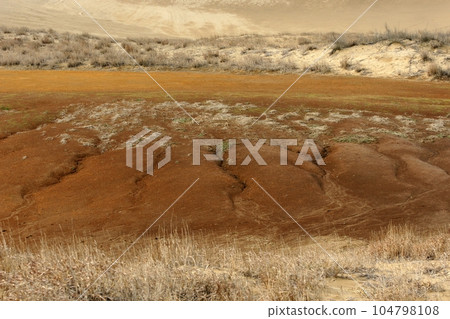 Tottori Four seasons walk winter Tottori sand dunes Tottori Four seasons walk winter Tottori sand dunes 104798108