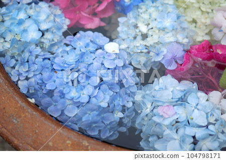 稻澤紫陽花祭寺 稻澤紫陽花祭寺 104798171